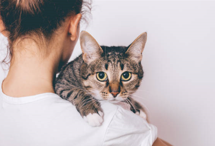 lady holding a cat
