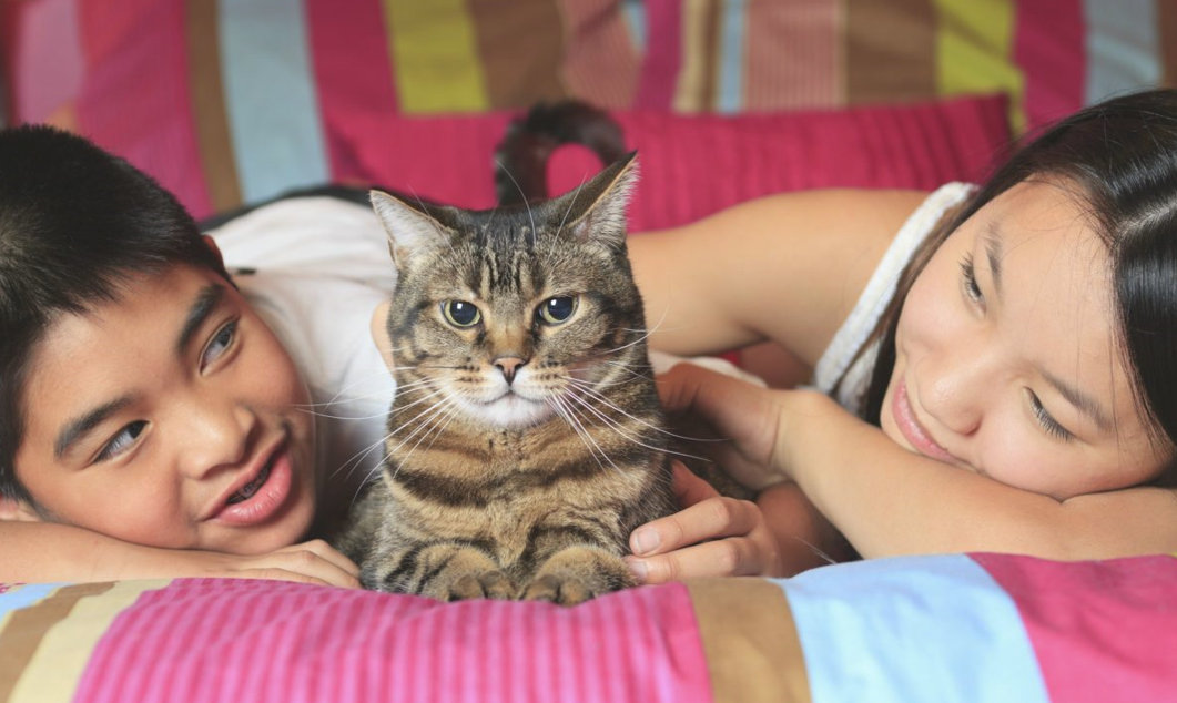 two children and a cat